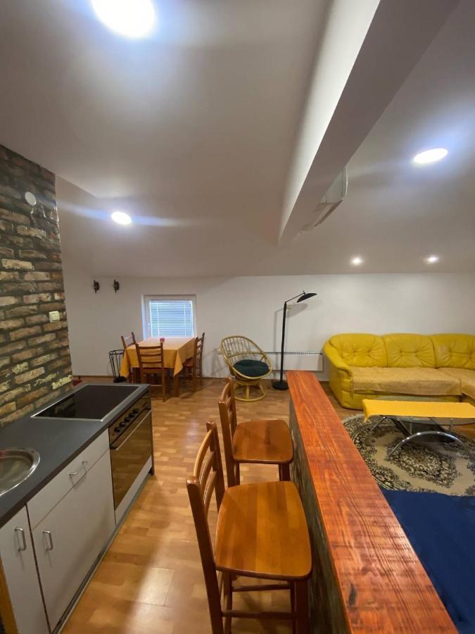 Twin Studio Apartments Zemun Belgrad Dış mekan fotoğraf